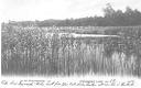 foto.lebork.org-415